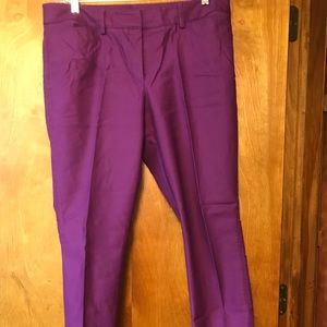 WHBM Purple Pants